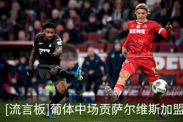 [流言板]葡体中场贡萨尔维斯加盟沙超新军，年薪1000万+转会费3000万